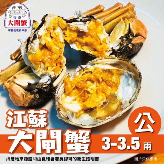 大閘蟹｜蟹公｜3-3.5兩｜中國江蘇｜香港大閘蟹