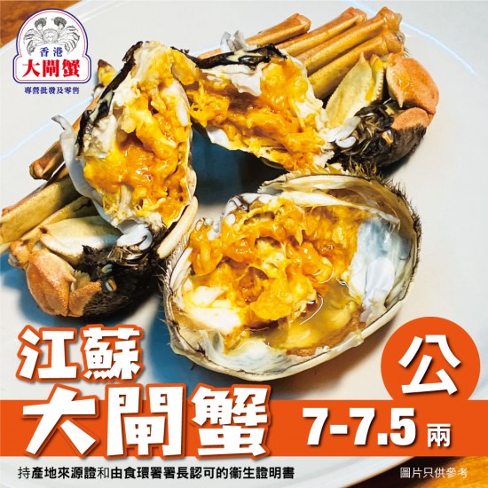 大閘蟹｜蟹公｜7-7.5兩｜需兩日前訂購｜中國江蘇｜香港大閘蟹